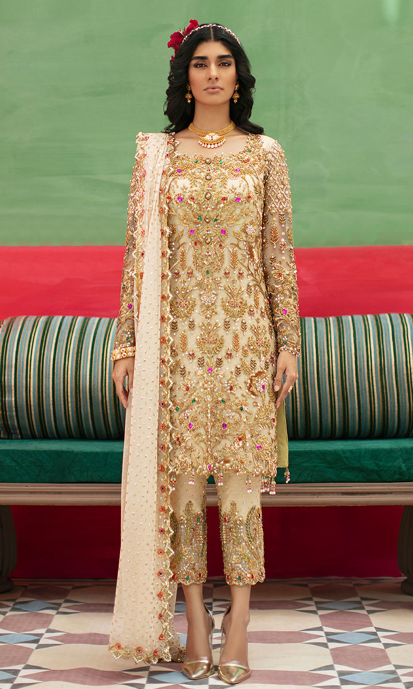 Pakistani Beige Embroidered Chiffon & Raw Silk Salwar Kameez (3-Piece) - Image 1