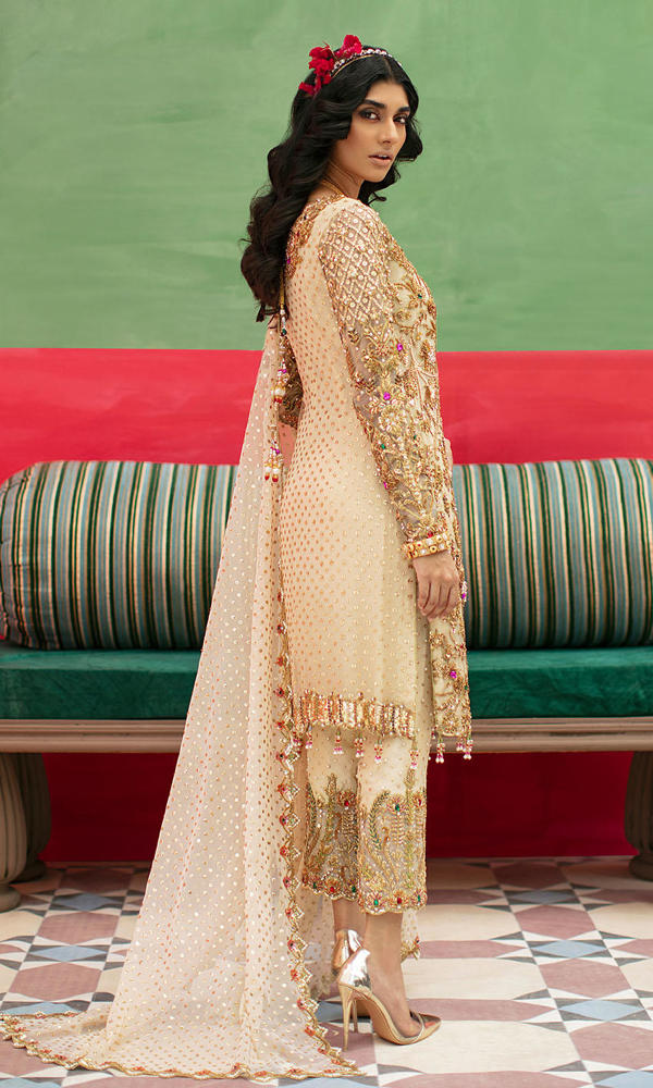 Pakistani Beige Embroidered Chiffon & Raw Silk Salwar Kameez (3-Piece) - Image 4