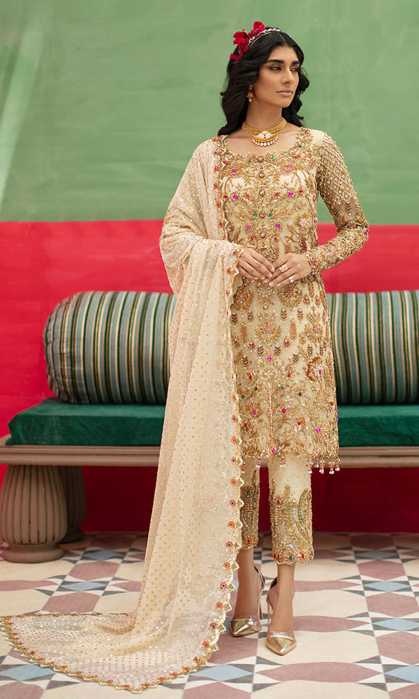 Pakistani Beige Embroidered Chiffon & Raw Silk Salwar Kameez (3-Piece) - Image 5