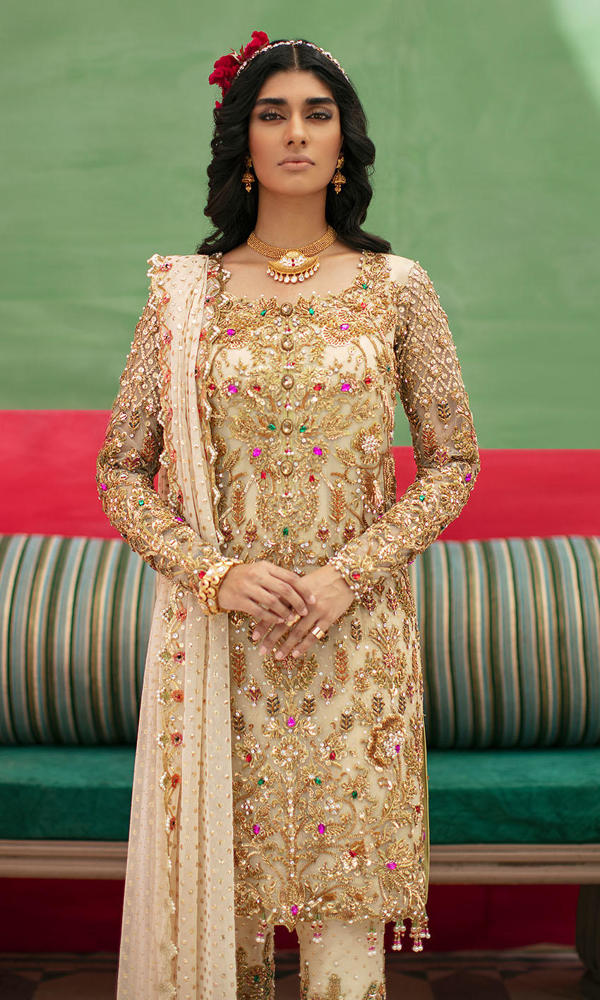Pakistani Beige Embroidered Chiffon & Raw Silk Salwar Kameez (3-Piece) - Image 6