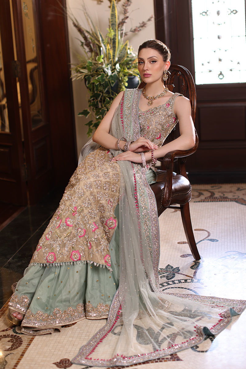 Pakistani Beige Hand-Embroidered Cotton Net Kameez with Lehenga (3-Piece) - Image 4