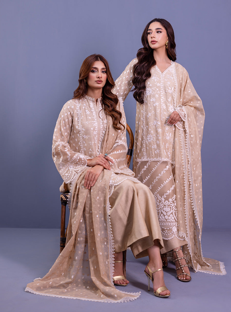 Beige Embroidered Khaddi Net Salwar Kameez (3-Piece) - Image 4