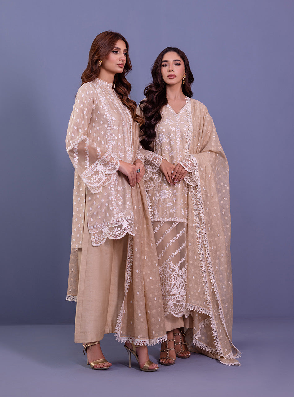 Beige Embroidered Khaddi Net Salwar Kameez (3-Piece) - Image 7