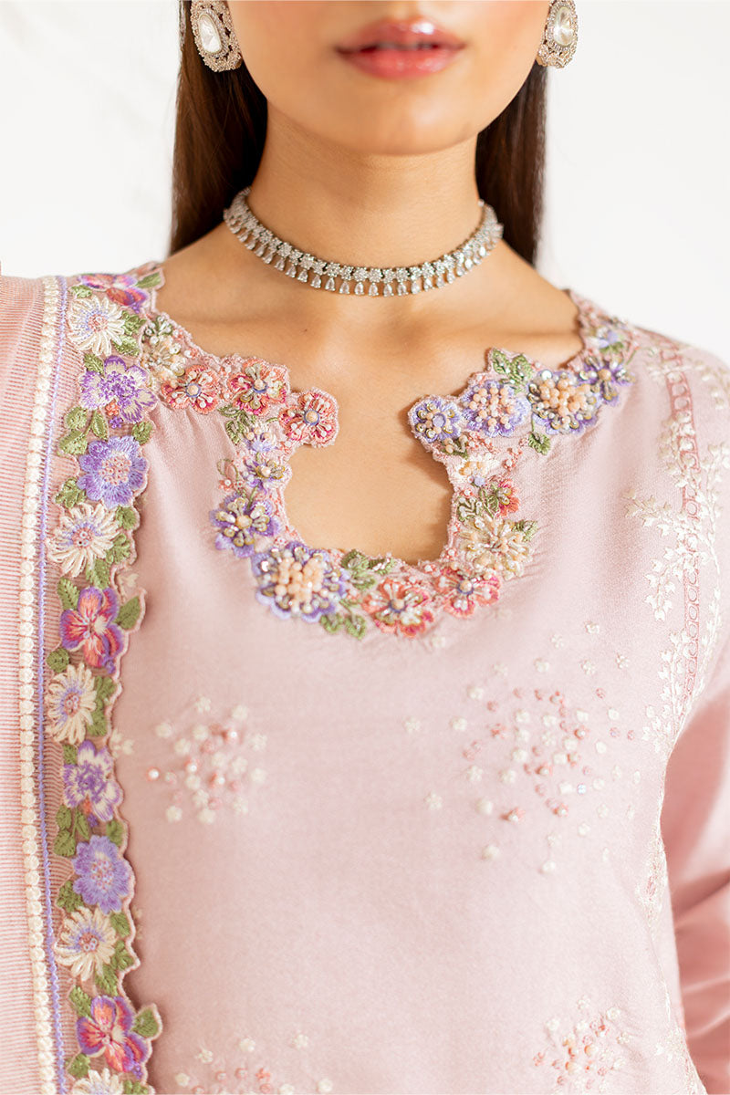 Nude Beige Embroidered Loom Cotton Net Salwar Kameez (3-Piece) - Image 4