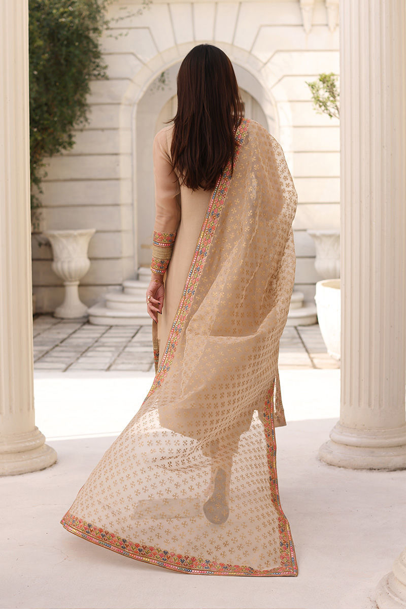 Pakistani Nude Gota & Mirror Work Organza Raw Silk Salwar Kameez (3-Piece) - Image 3