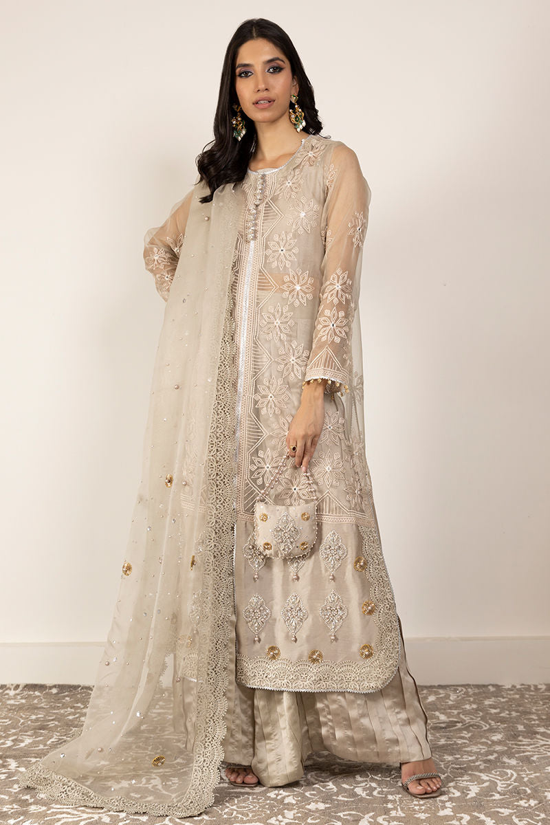 Taupe Embroidered Organza Salwar Kameez (3-Piece) - Image 1