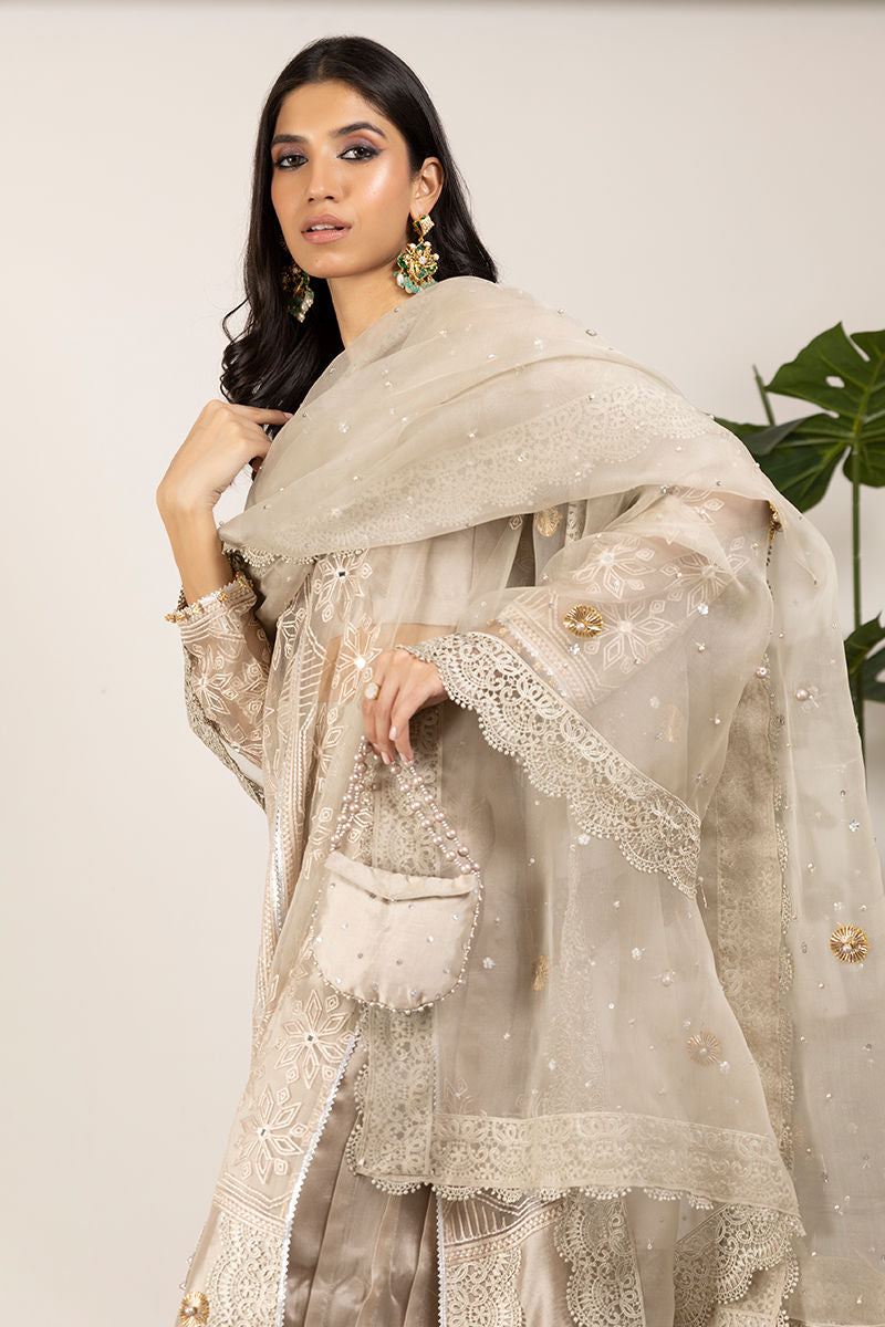 Taupe Embroidered Organza Salwar Kameez (3-Piece) - Image 2