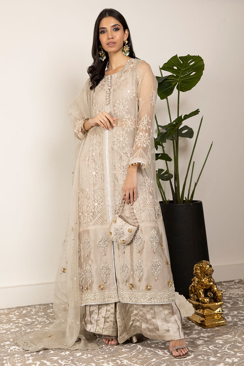 Taupe Embroidered Organza Salwar Kameez (3-Piece) - Image 3