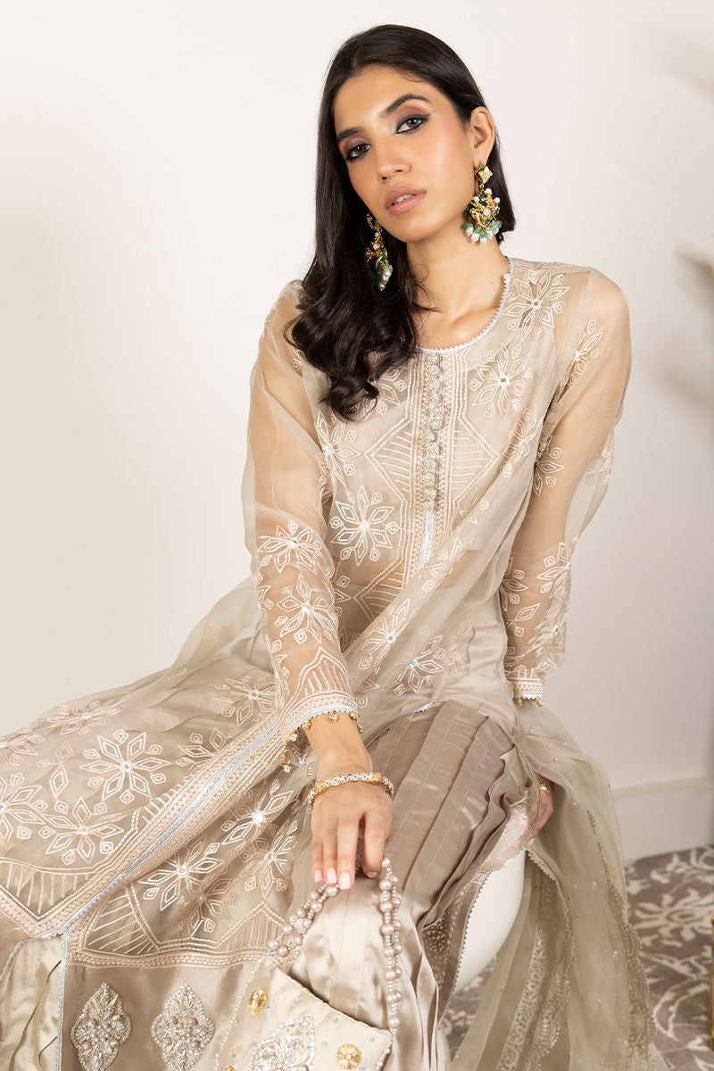 Taupe Embroidered Organza Salwar Kameez (3-Piece) - Image 4
