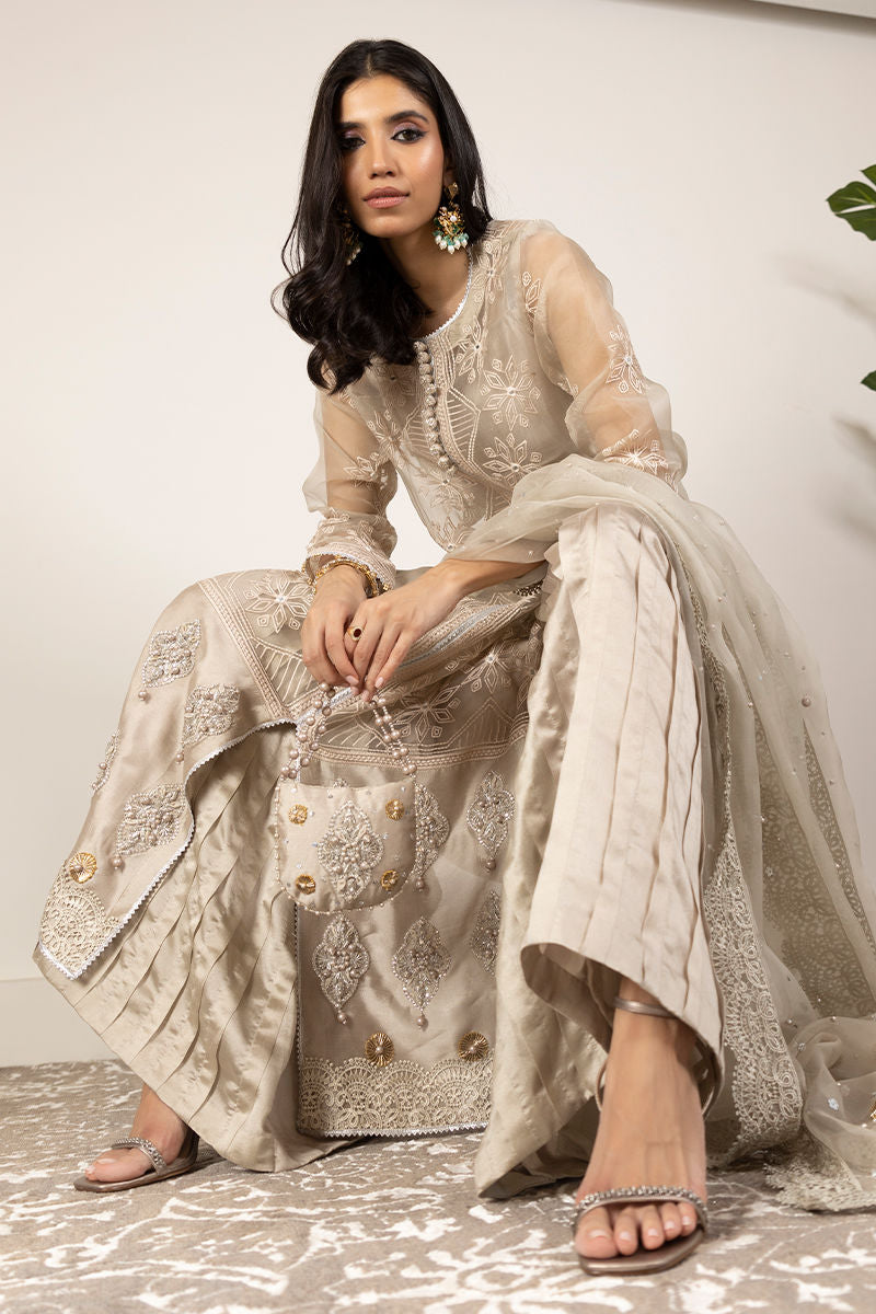 Taupe Embroidered Organza Salwar Kameez (3-Piece) - Image 5