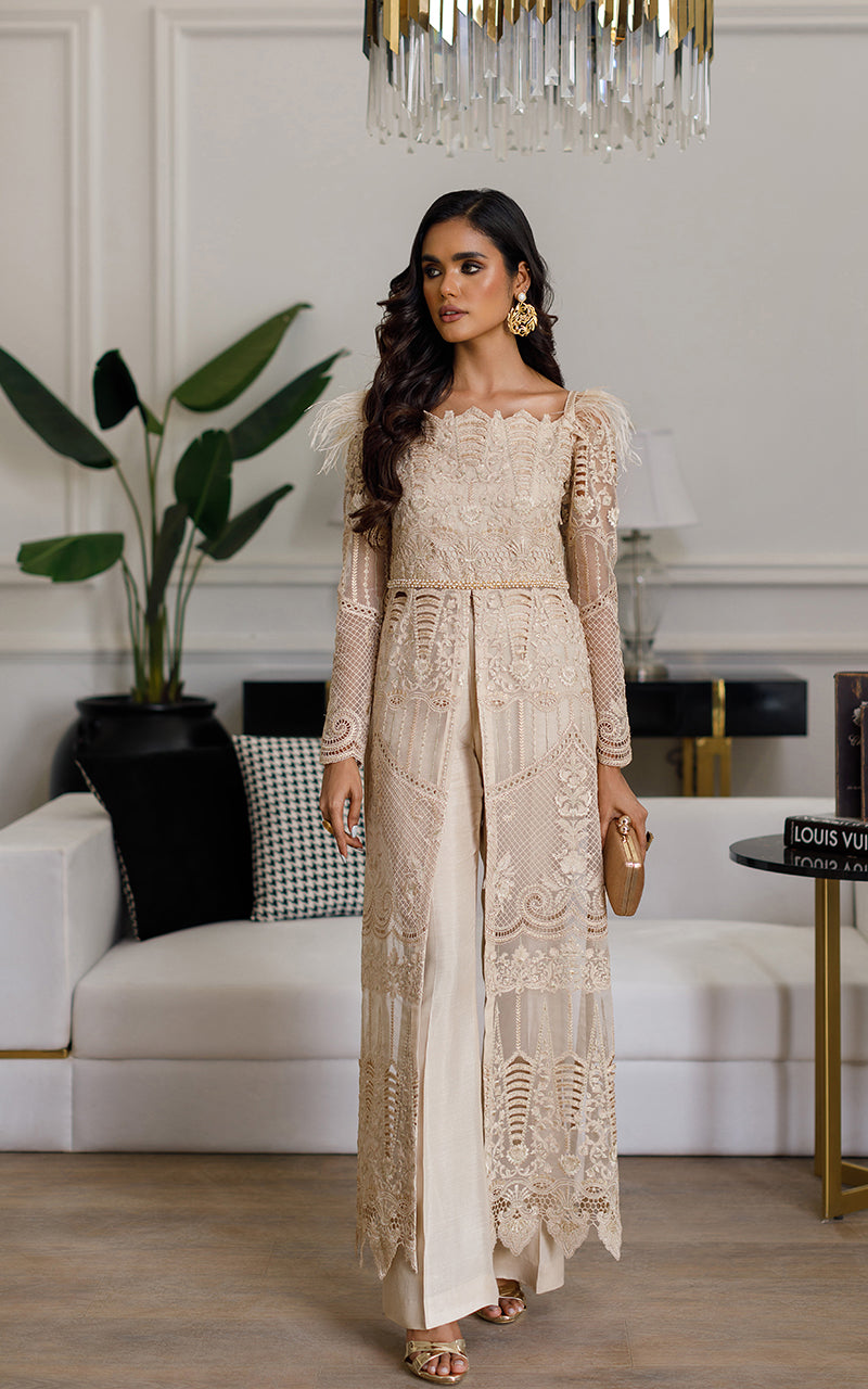 Beige Embroidered Organza Front-Open Dress (2-Piece) - Image 1