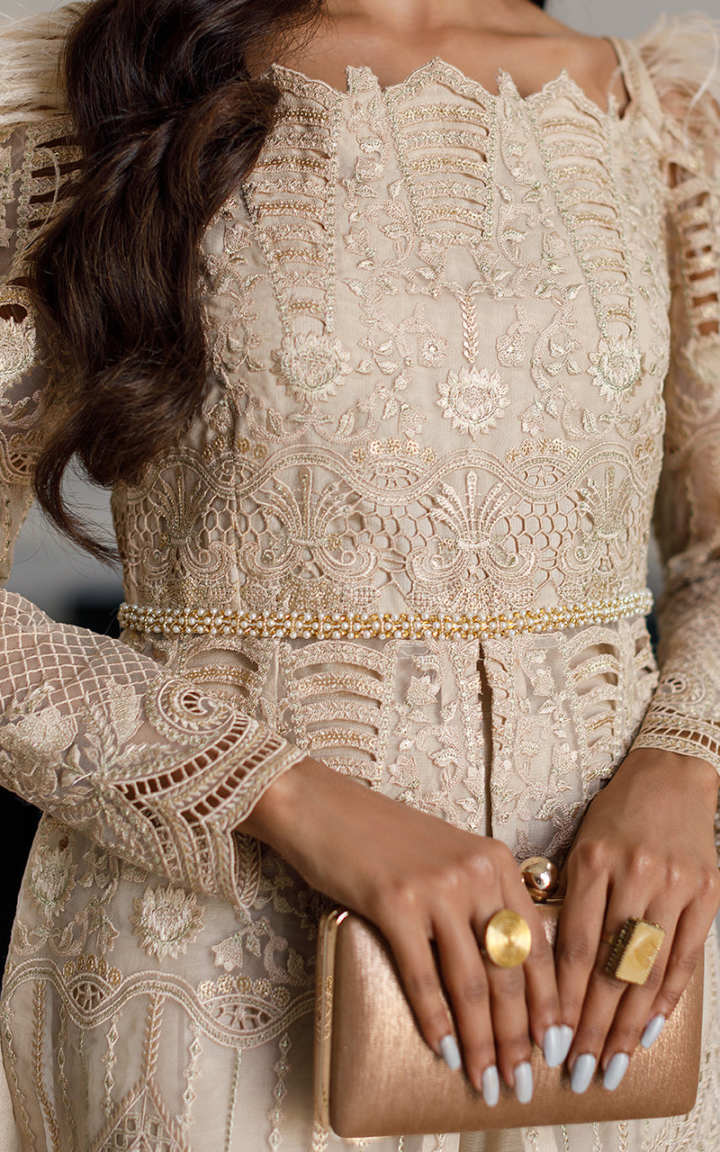 Beige Embroidered Organza Front-Open Dress (2-Piece) - Image 6