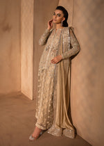 Indian Beige Embellished Organza & Raw Silk Long Shirt (3-Piece) - Image 4