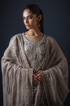 French Beige Embroidered Organza Salwar Kameez (3-Piece) - Image 5