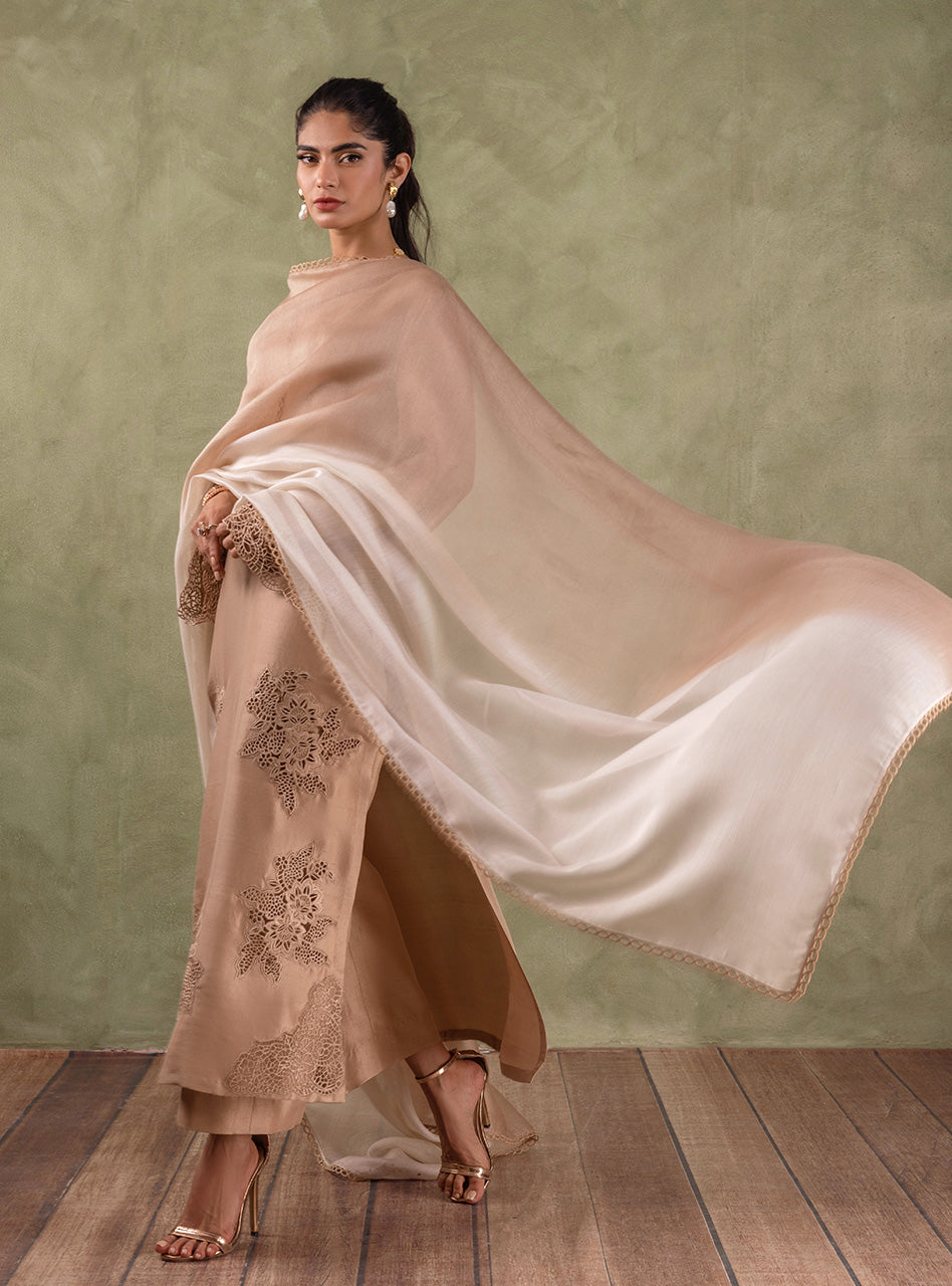 Pakistani Beige Cutwork Embroidered Raw Silk Salwar Kameez (3-Piece) - Image 3