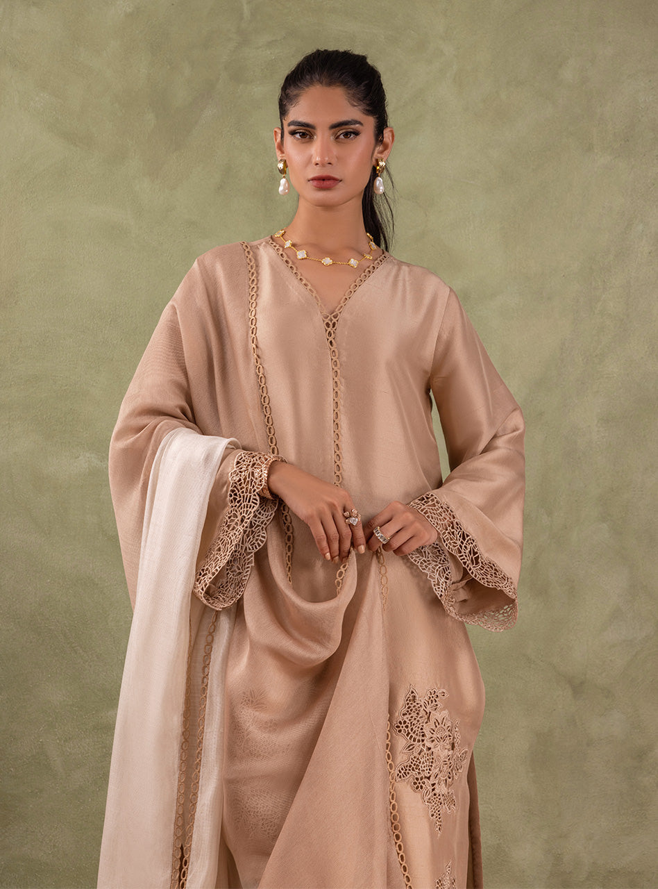 Pakistani Beige Cutwork Embroidered Raw Silk Salwar Kameez (3-Piece) - Image 4