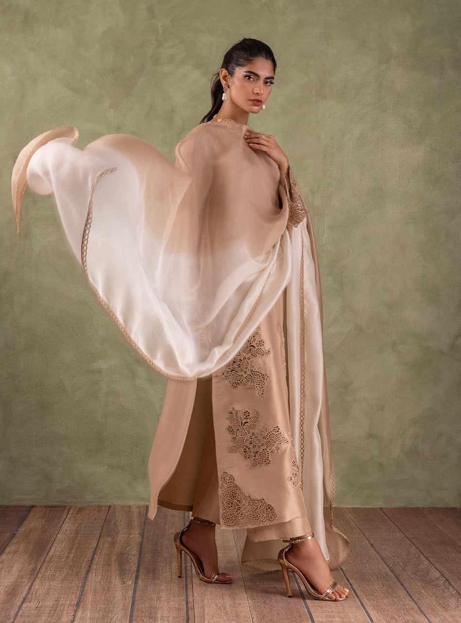 Pakistani Beige Cutwork Embroidered Raw Silk Salwar Kameez (3-Piece) - Image 7