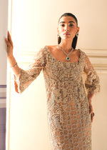 Pakistani Beige Embroidered Net Straight Long Dress (3-Piece) - Image 7