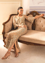 Pakistani Beige Embroidered Net Straight Long Dress (3-Piece) - Image 8
