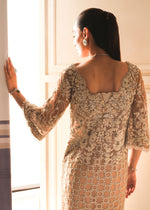 Pakistani Beige Embroidered Net Straight Long Dress (3-Piece) - Image 9