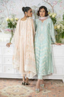 Pakistani Nude Zardozi Embroidered Raw Silk Salwar Kameez (3-Piece) - Image 11