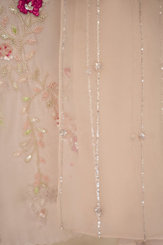 Pakistani Skin Beaded Sheesha Silk Salwar Kameez (3-Piece) - Image 9