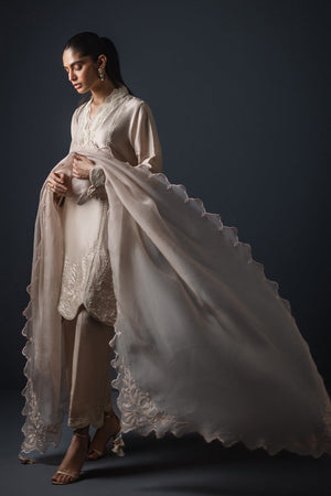 Light Beige Embroidered Silk Salwar Kameez (3-Piece) - Image 3