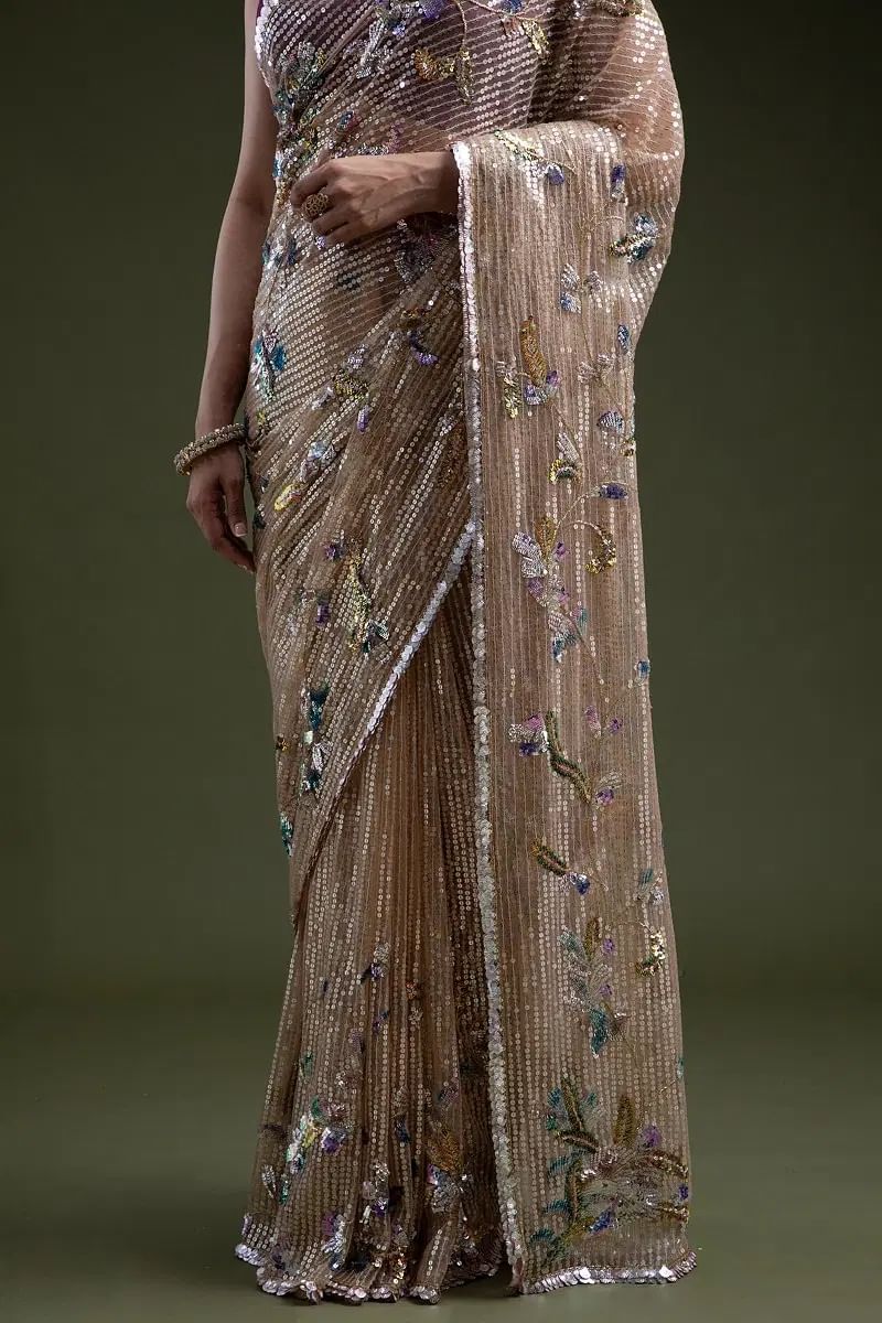 Beige Sequin Cutdana Net Saree (2-Piece) - Image 4