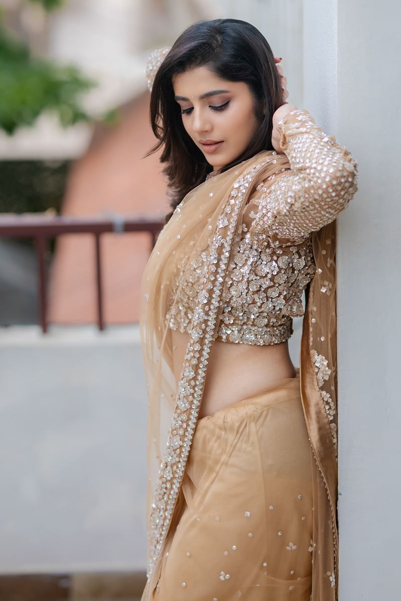 Indian Beige Sequin Embroidered Net Saree (2-Piece) - Image 4