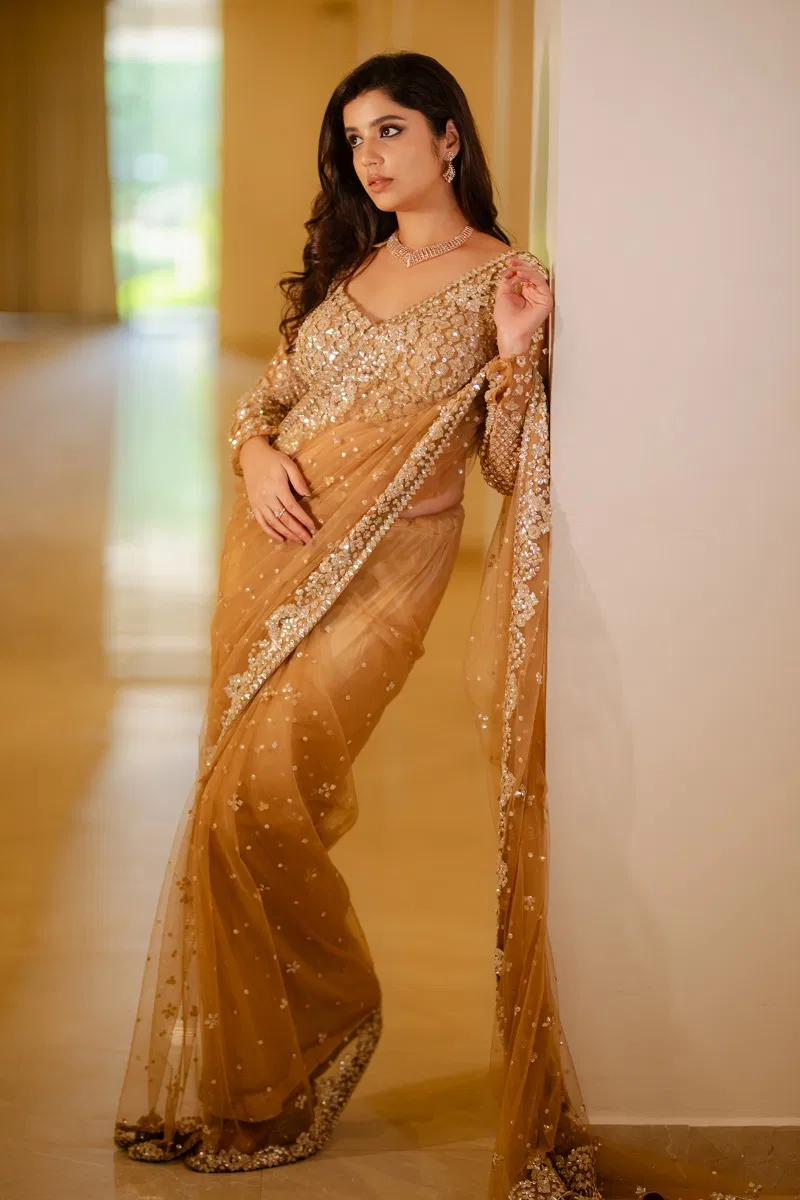 Indian Beige Sequin Embroidered Net Saree (2-Piece) - Image 5