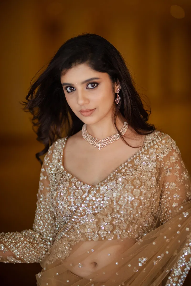 Indian Beige Sequin Embroidered Net Saree (2-Piece) - Image 7