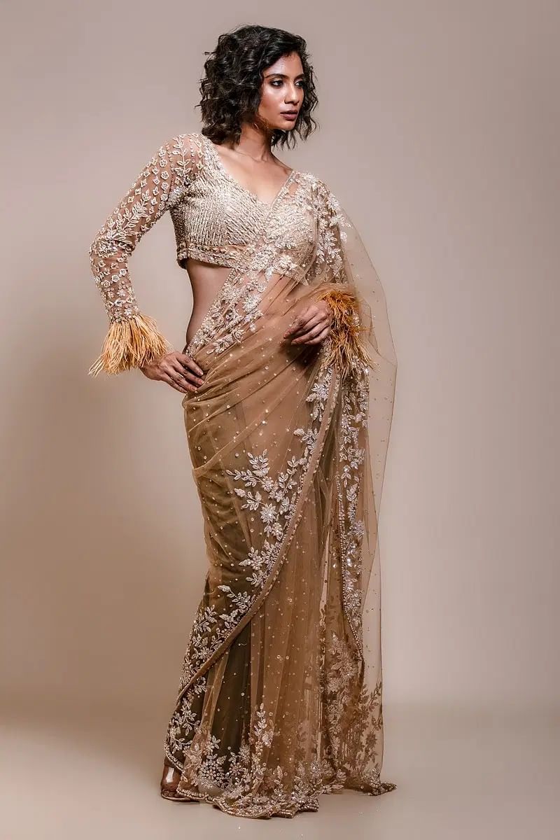 Indian Beige Sequined Net Saree with Cutdana Embroidery (2-Piece) - Image 4