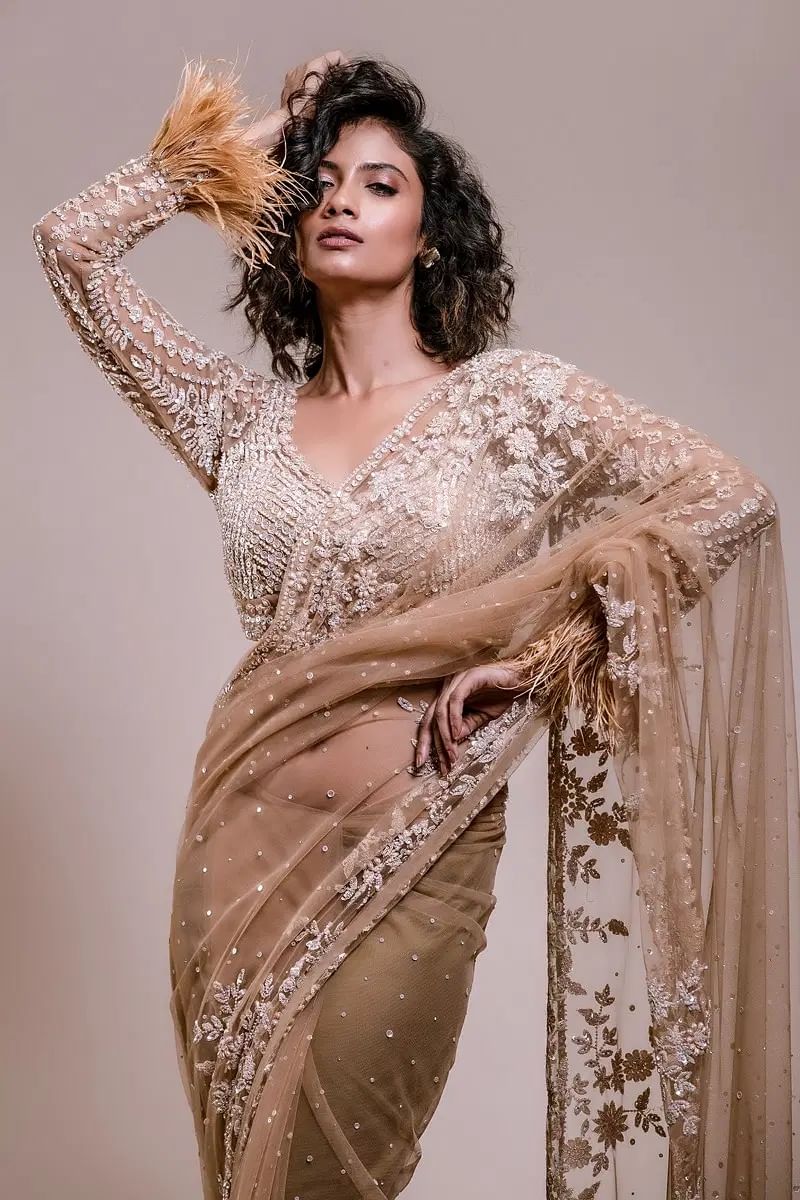 Indian Beige Sequined Net Saree with Cutdana Embroidery (2-Piece) - Image 5
