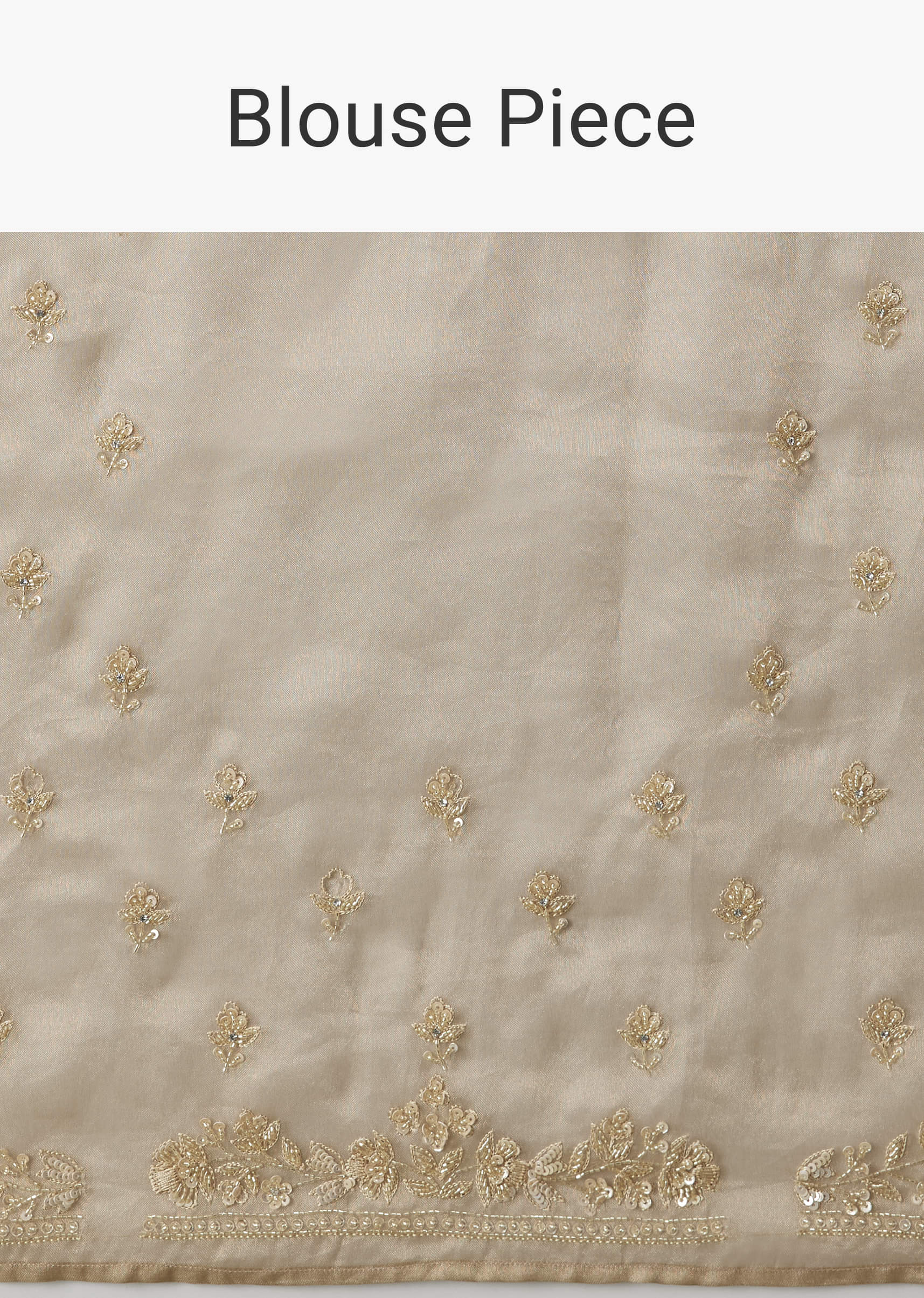 Indian Beige Embroidered Tissue Saree with Brocade Blouse (2-Piece) - Image 8