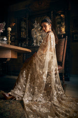 Nude Metallic Appliqué Tulle Saree (2-Piece) - Image 4