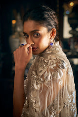 Nude Metallic Appliqué Tulle Saree (2-Piece) - Image 5