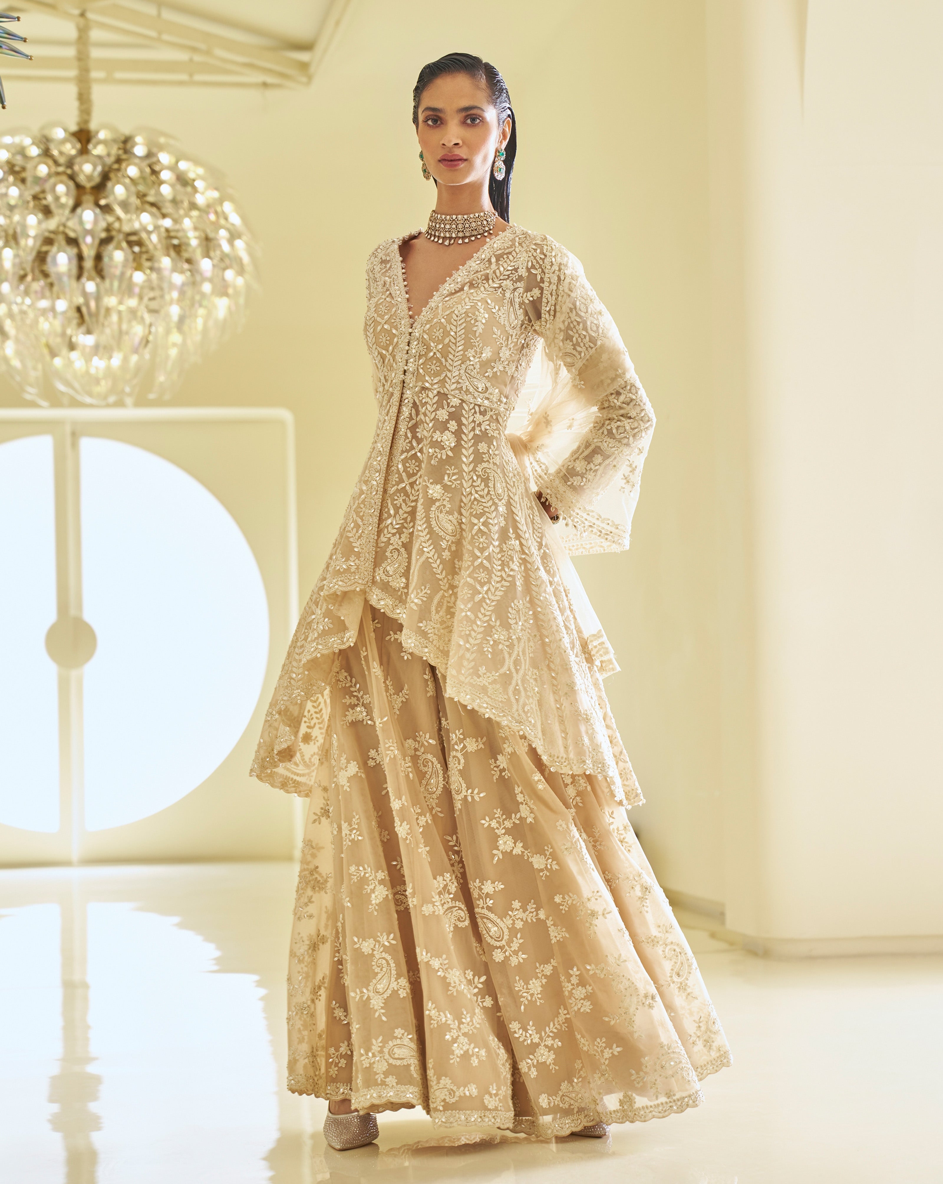 Indian Nude Embellished Net Sharara Set (3-Piece) - Image 7