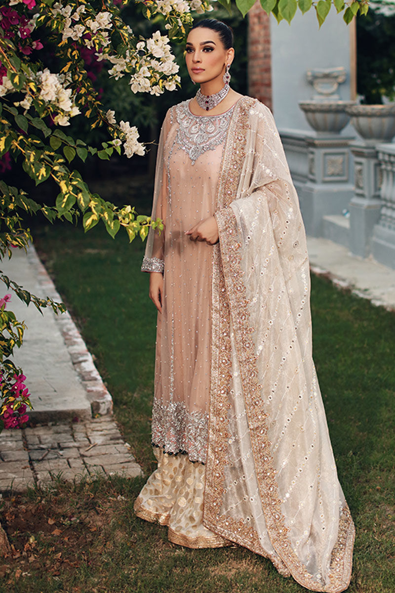 Beige Embroidered Net Kalidaar Sharara (3-Piece) - Image 4