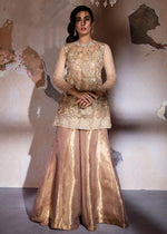 Pakistani Beige Embroidered Net & Tissue Sharara (2-Piece) - Image 2