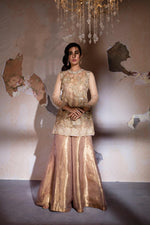 Pakistani Beige Embroidered Net & Tissue Sharara (2-Piece) - Image 3