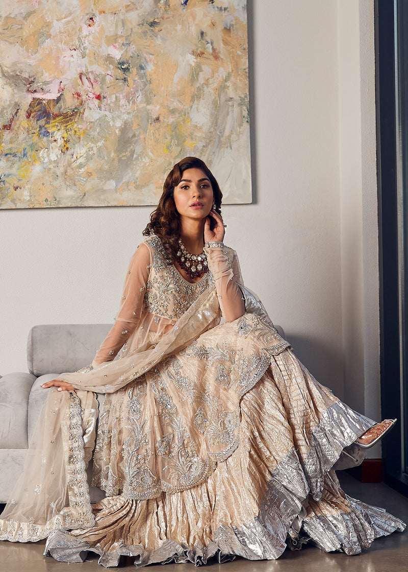 Pakistani Nude Handworked Net & Tissue Sharara (3-Piece) - Image 1