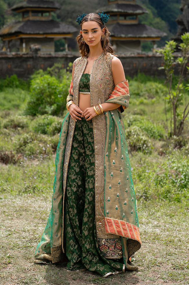 Pakistani Acorn Beige Embroidered Tissue Jacket Sharara (4-Piece) - Image 1