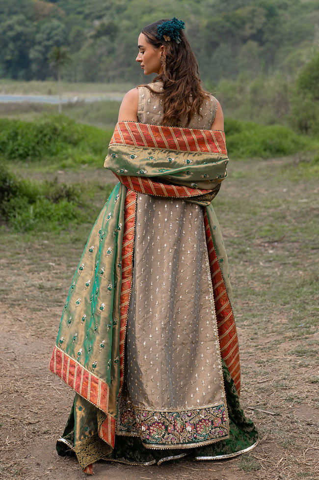 Pakistani Acorn Beige Embroidered Tissue Jacket Sharara (4-Piece) - Image 2