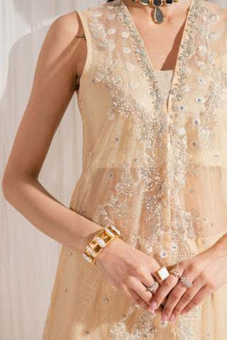 Pakistani Coral Beige Hand-Embellished Organza & Net Coat Set (3-Piece) - Image 4