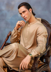 Brown Beige Ari Work Premium Suiting Shalwar Kameez (2-Piece) - Image 2