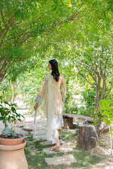 Nude Embroidered Cotton Net Salwar Kameez (3-Piece) - Image 7