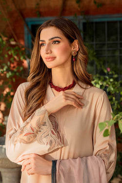 Beige Organza Floral Georgette Chiffon Salwar Kameez (3-Piece) - Image 1