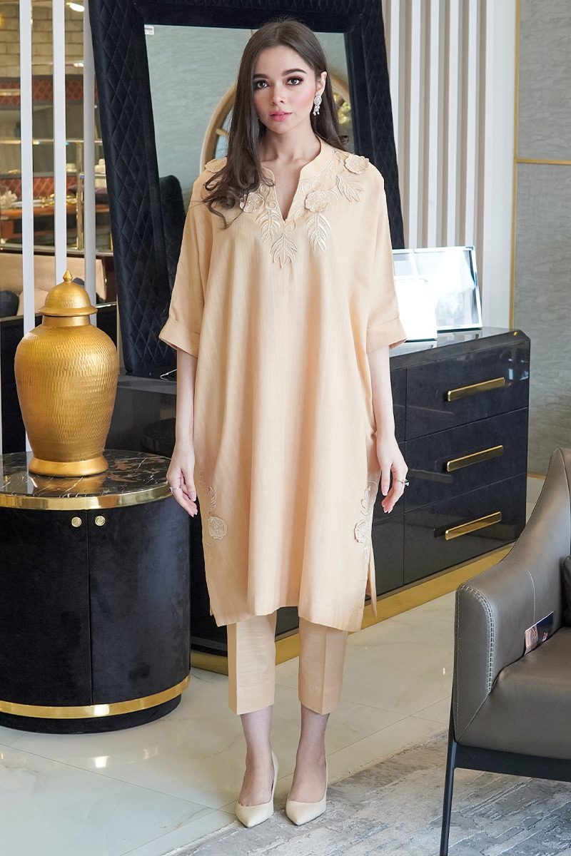 Pakistani Light Beige 3D Embroidered Khaddar Salwar Kameez (2-Piece) - Image 1