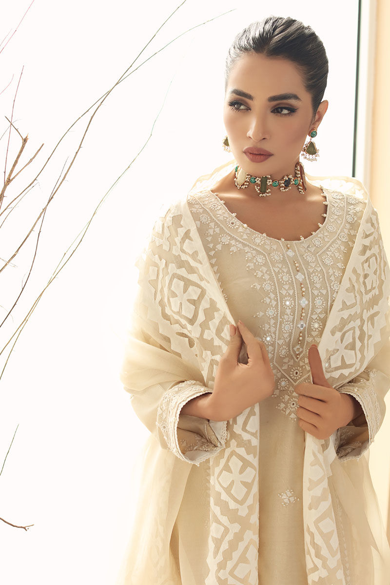 Pakistani Beige Hand-Embroidered Salwar Kameez (3-Piece) - Image 4
