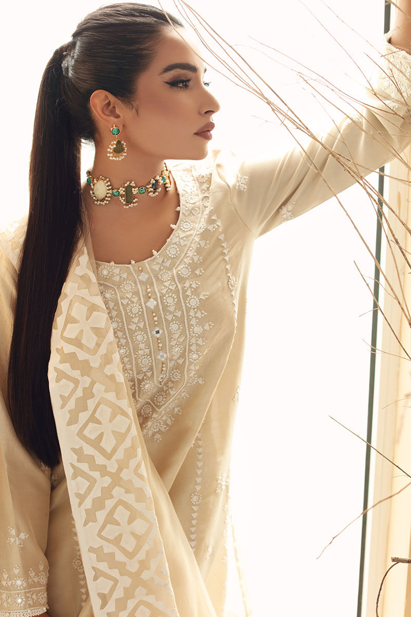 Pakistani Beige Hand-Embroidered Salwar Kameez (3-Piece) - Image 7
